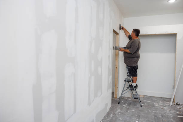 Best Eco-Friendly and Low-VOC Painting  in USA